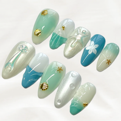 Seashell Serenity